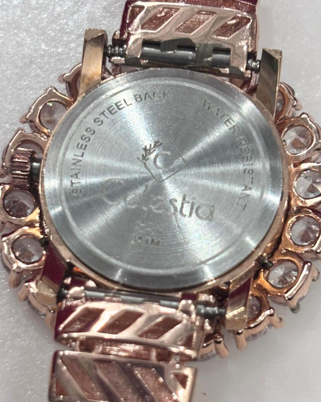Luxury Real Silver Watches for Women (LSW-1)